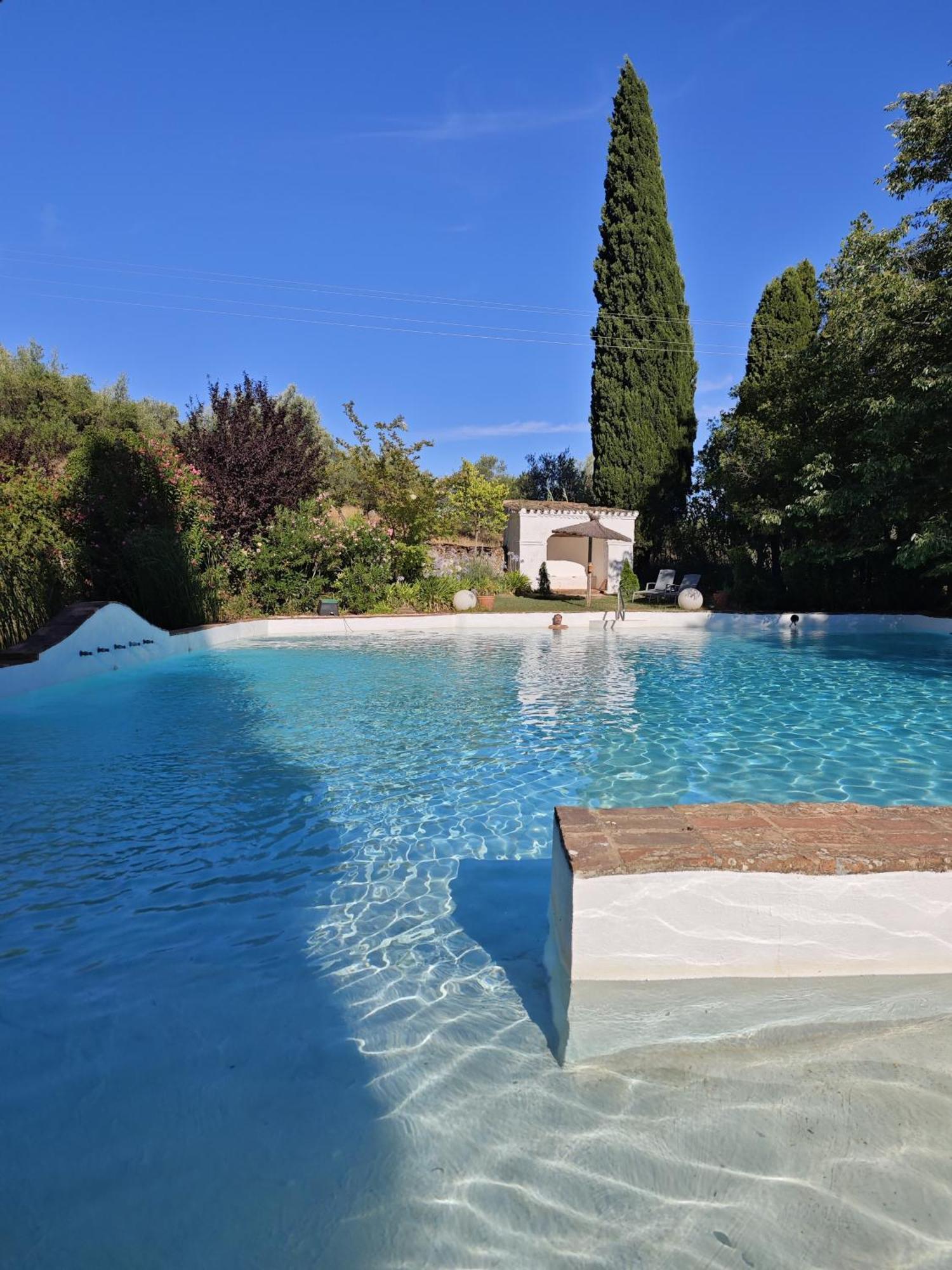 Finca La Favorita- Suites (Adults Only) Constantina Exterior photo