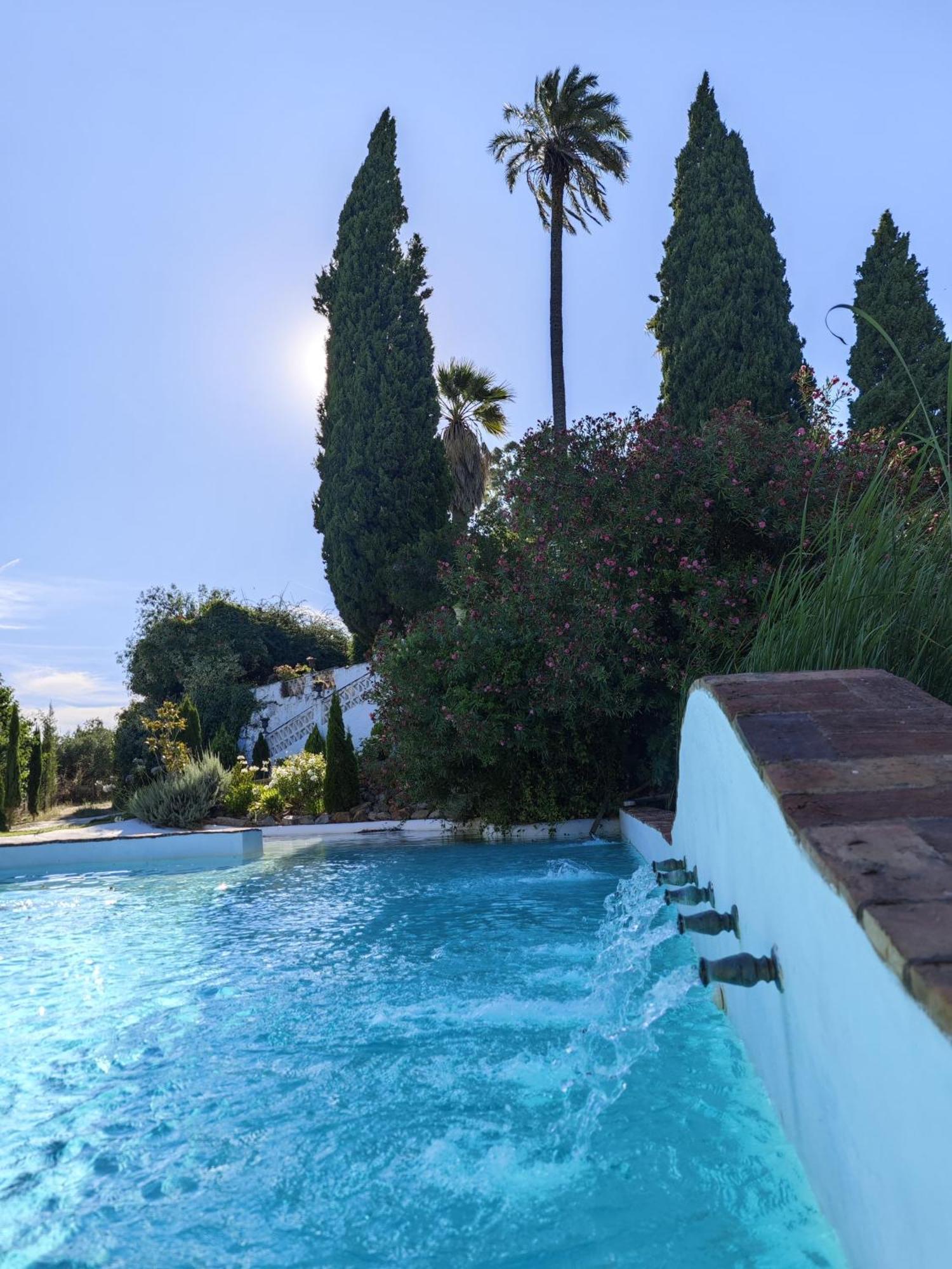 Finca La Favorita- Suites (Adults Only) Constantina Exterior photo