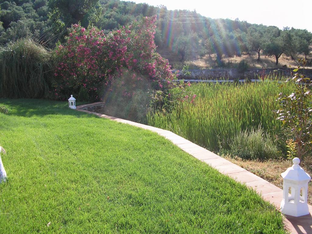 Finca La Favorita- Suites (Adults Only) Constantina Exterior photo