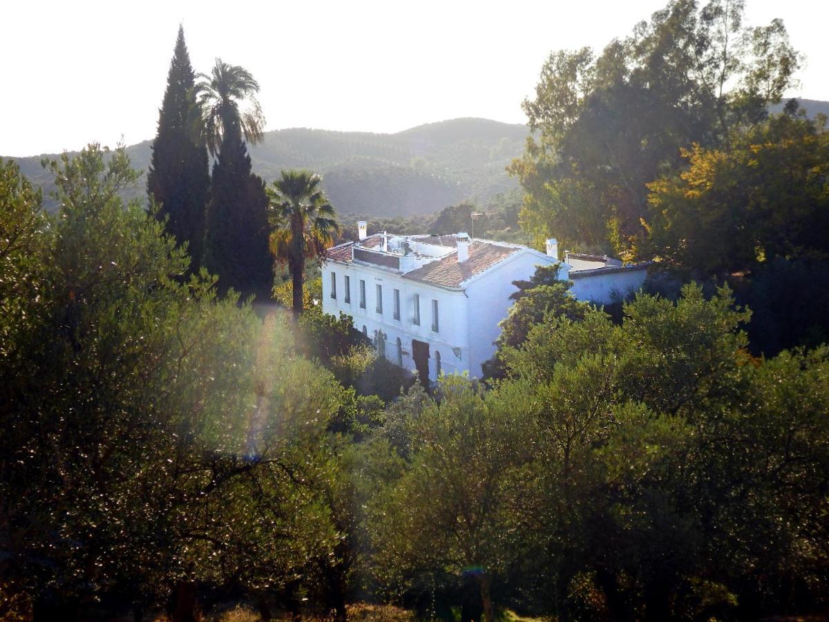 Finca La Favorita- Suites (Adults Only) Constantina Exterior photo
