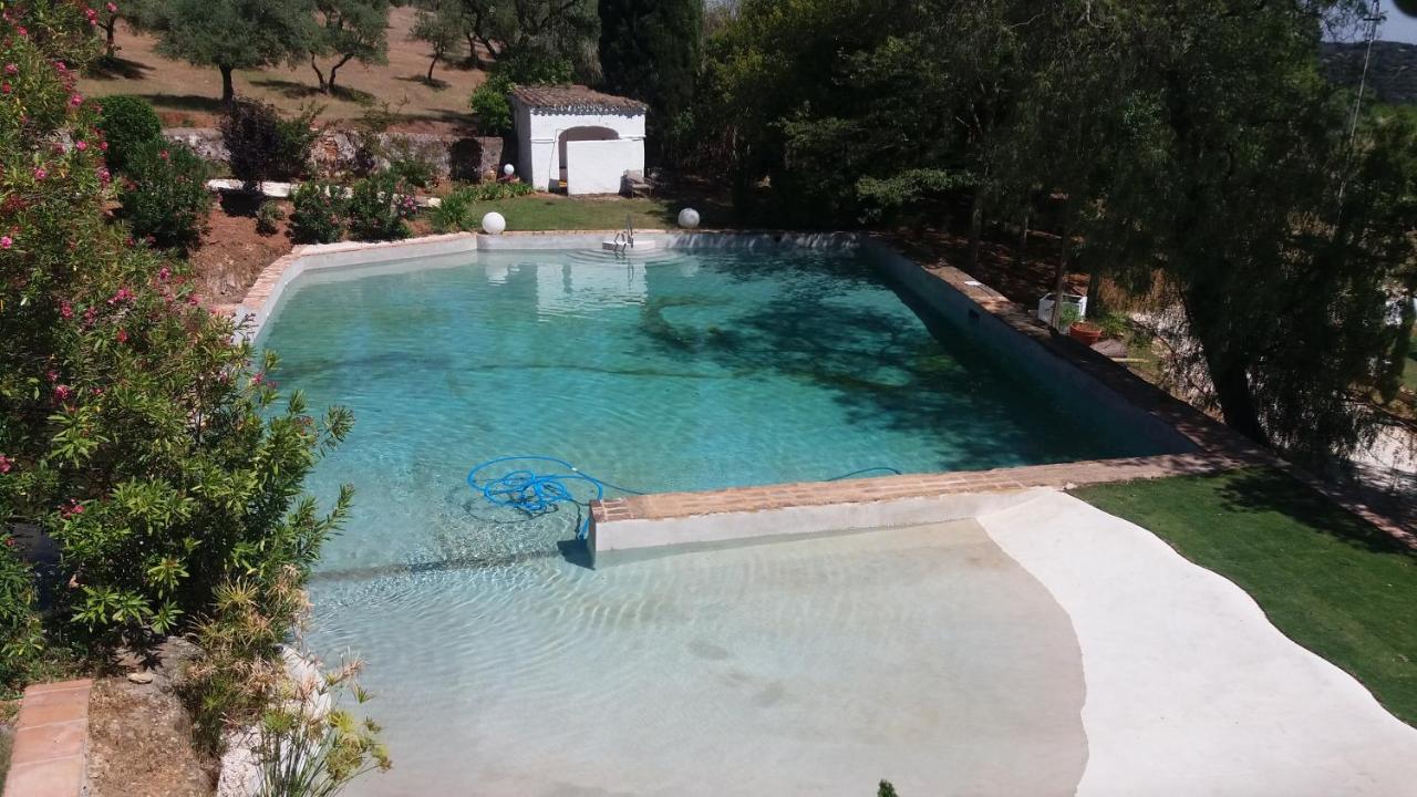 Finca La Favorita- Suites (Adults Only) Constantina Exterior photo