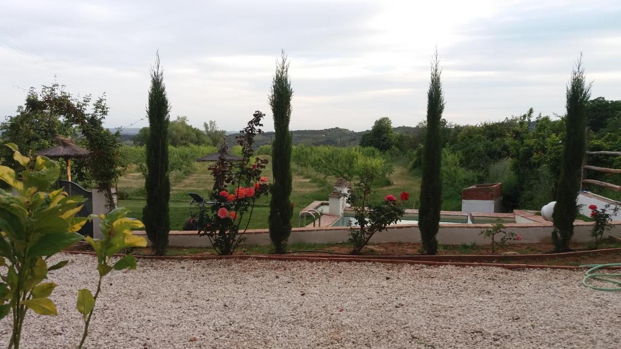 Finca La Favorita- Suites (Adults Only) Constantina Exterior photo